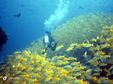 kudarah thila3x1920.jpg